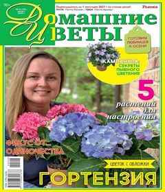 Скачать журналы цветы - Домашние цветы №8 (август 2020)